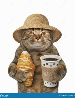 Eu vou editar seus vídeos para TikTok,