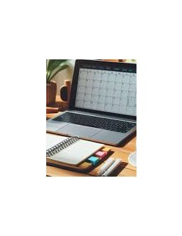 Eu vou escrever, revisar, traduzir seu texto