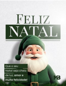 Combo 2 Posts Profissionais: Natal + Ano Novo
