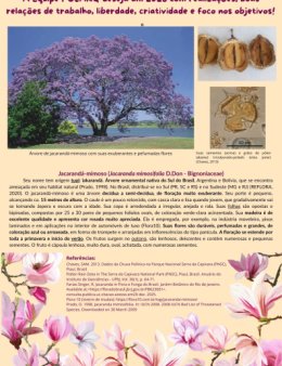 Eu vou criar seu flyer, folheto ou folder