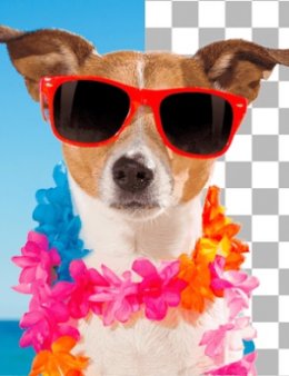 Eu vou tirar o fundo de suas imagens