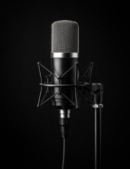 Narração e Dublagem de Alta Qualidade.