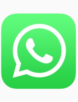 Eu vou atender seus clientes no whatApp