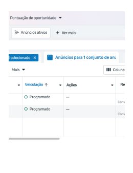 Eu vou criar anúncios para o seu negócio