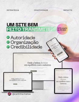 Eu vou criar um site profissional, moderno...