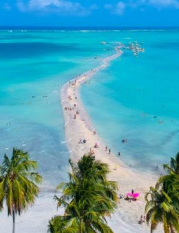 Eu vou dar dicas de viagem