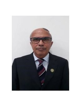 Eu vou revisar textos de quaisquer categorias