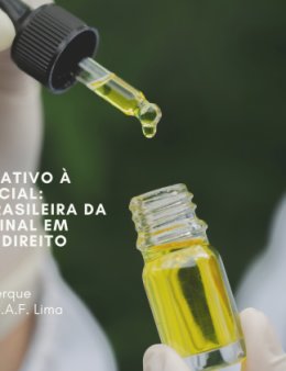 Eu vou redigir e distribuir seu comunicado