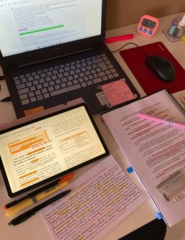 Eu vou fazer resumos escolares para você