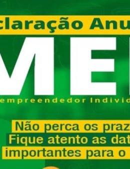 Eu vou fazer sua Declaração Anual do MEI