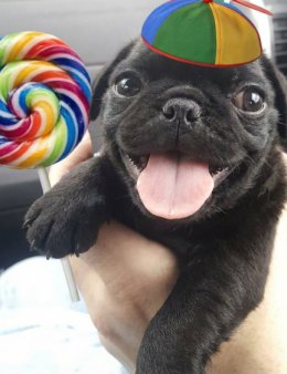 Eu vou gravar o áudio que você quiser.