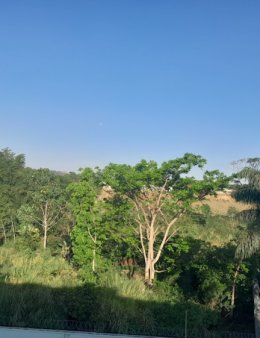 Digitar o que você precisa