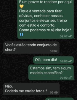 Eu vou atender os seus clientes no WhatsApp.