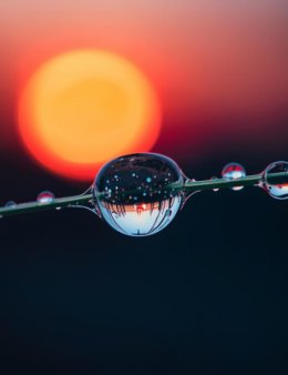 Eu vou atender seus clientes no whatsapp