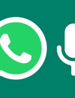 Eu vou transcrever seus áudios e vídeos