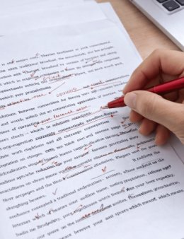 Eu vou traduzir seus textos em Inglês