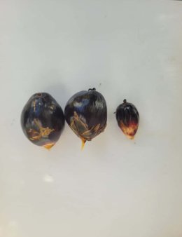 Eu vou realizar suas demandas