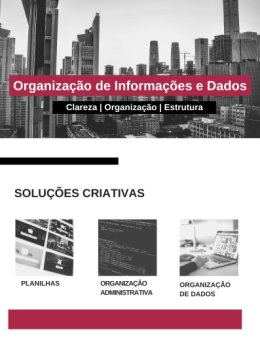 Eu vou Organizar dados do seu negócio