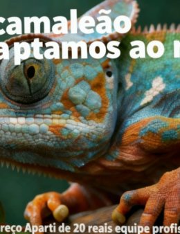 Eu vou editar vídeos ou fotos profissional