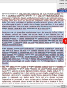 Eu vou revisar seu texto e deixá-lo profissional e sem erros