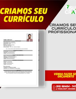 Eu vou fazer seu curriculo profissional