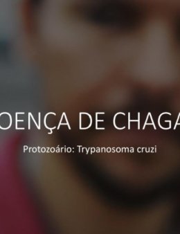 Eu vou fazer seus trabalhos escolares.