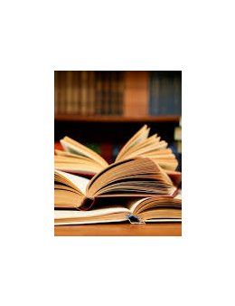 Eu vou fazer sua tarefa de casa e trabalho