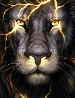 Eu vou editar seus videos