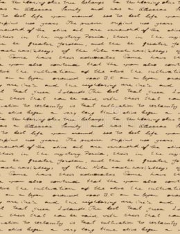 Eu vou passar seu texto do papel pra digital