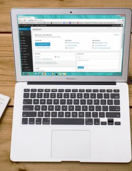 Eu vou Cria seu Site Profissional WordPress - Ultra Rápido e Clean