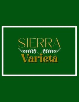 Eu vou criar sua logo e identidade visual