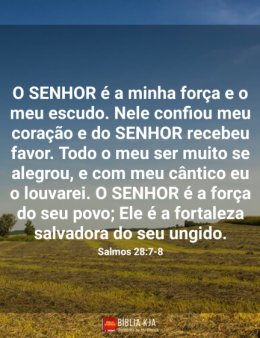 Eu vou  traduzir seu texto e corrigir