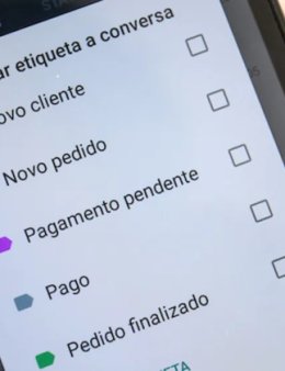 Organizo seu WhatsApp Business em 2 Horas