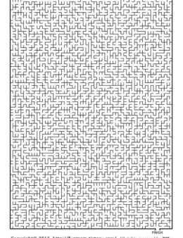 Tradutora de várias línguas