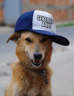 Eu vou criar um vídeo personalizado