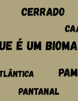 Eu eu posso criar e fazer trabalhos.