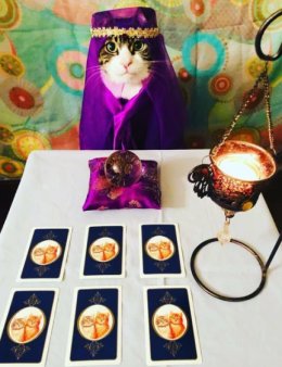 Eu vou tirar tarot para voce