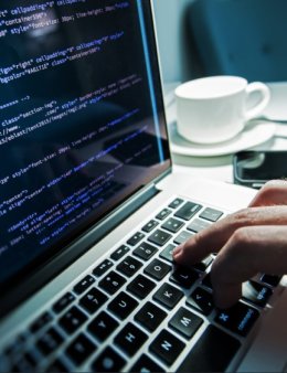 Eu vou desenvolver um web site para você.