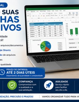 Eu vou organizar suas planilhas e arquivos