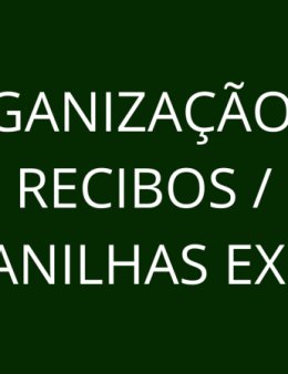 Eu vou organizar seus recibos no Excel rápido