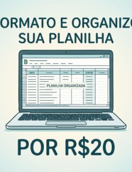 Eu vou formatar e organizar sua planilha.