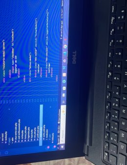 Eu vou resolver bugs, programar páginas web