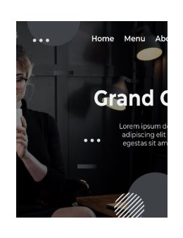 Eu vou desenvolver seu site profissional