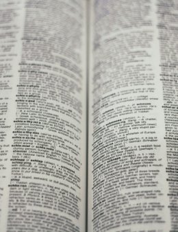 Eu vou traduzir seu texto para Português