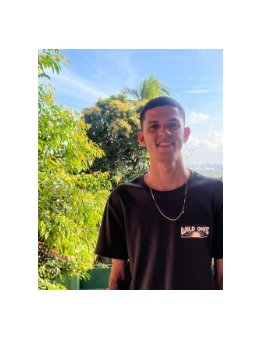 Eu vou desenvolver um site pra você.