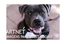 Eu vou criar capas e imagens de bom gosto para você nas redes sociais