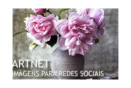 Eu vou criar capas e imagens de bom gosto para você nas redes sociais