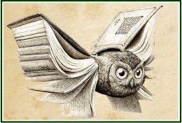 Eu vou escrever artigos de diversos temas