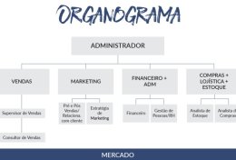 Eu vou elaborar teu organograma