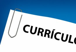 Eu vou elaborar teu curriculo